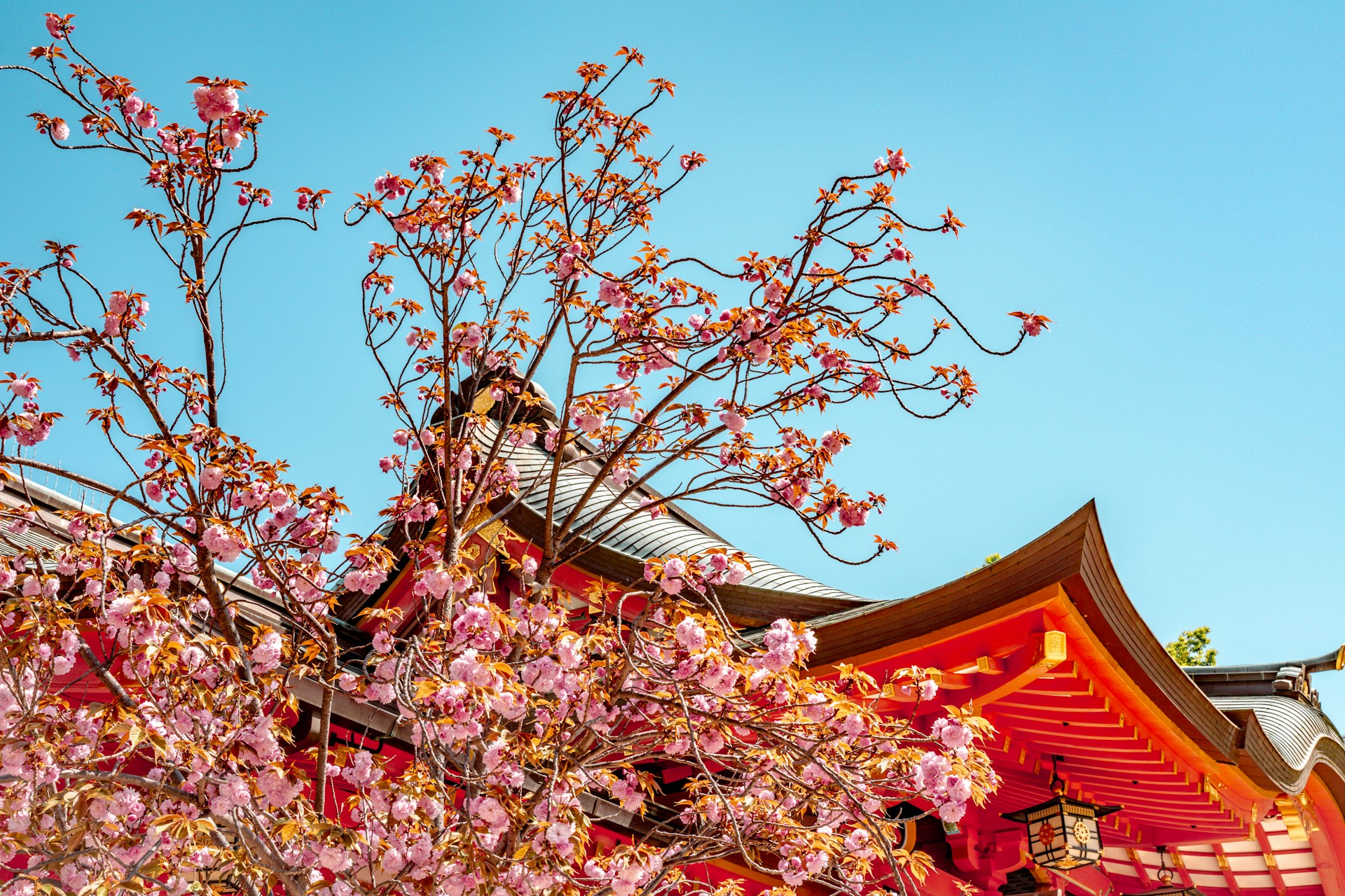 Ikuta Shrine